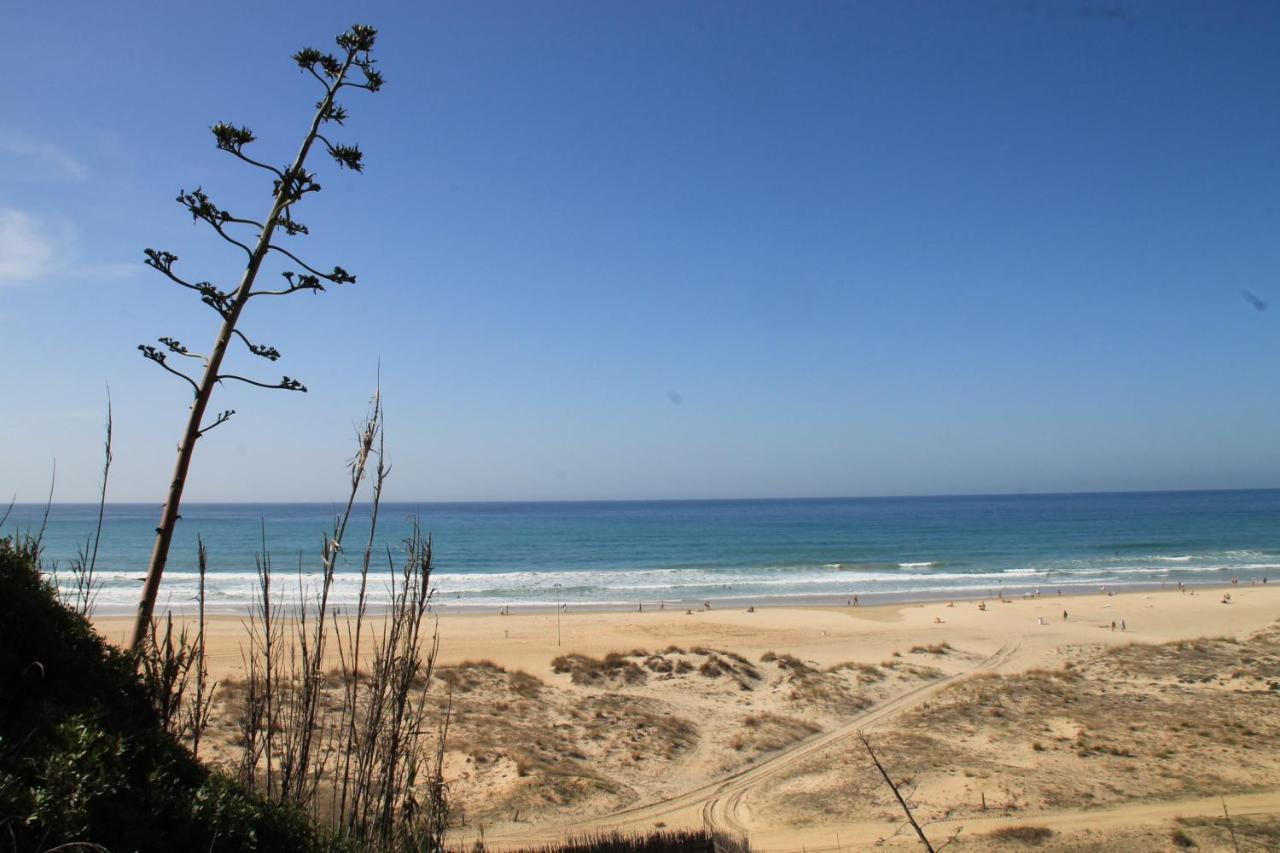 Apartment Estudio En El Centro De Conil